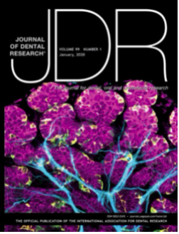 JDR 2020 Cover of Year