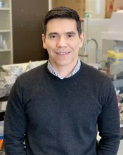 Bruno Lima