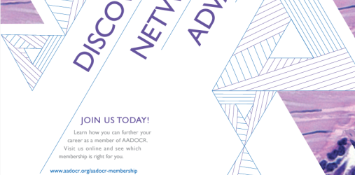 AADOCR Membership Flyer