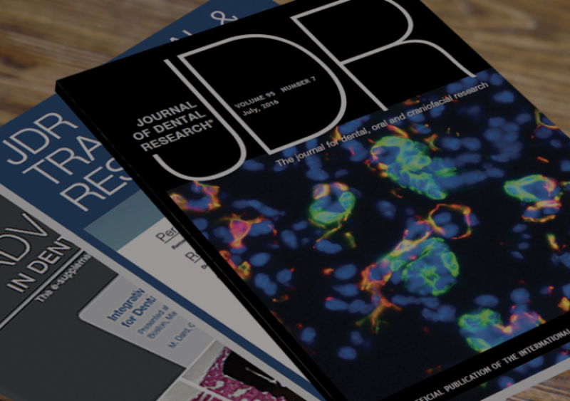 JDR and ADR publications image