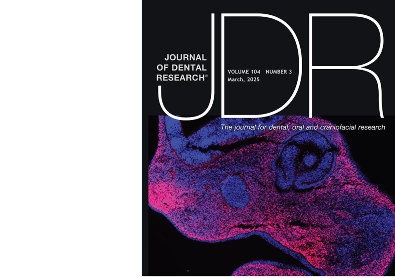 JDR Cover March 2025