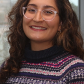 Hülya Taner