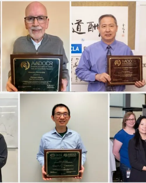 2023 AA Awards Slideshow Image